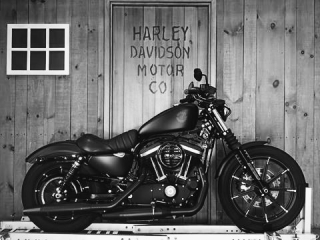 Harley for sale