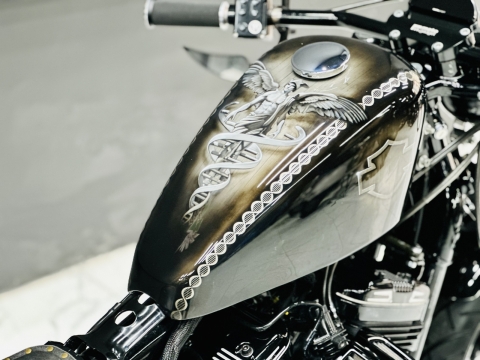48 độ full dòng sportster 