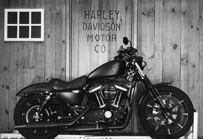 Harley for sale